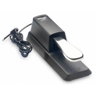 Piano Type Sustain Pedal